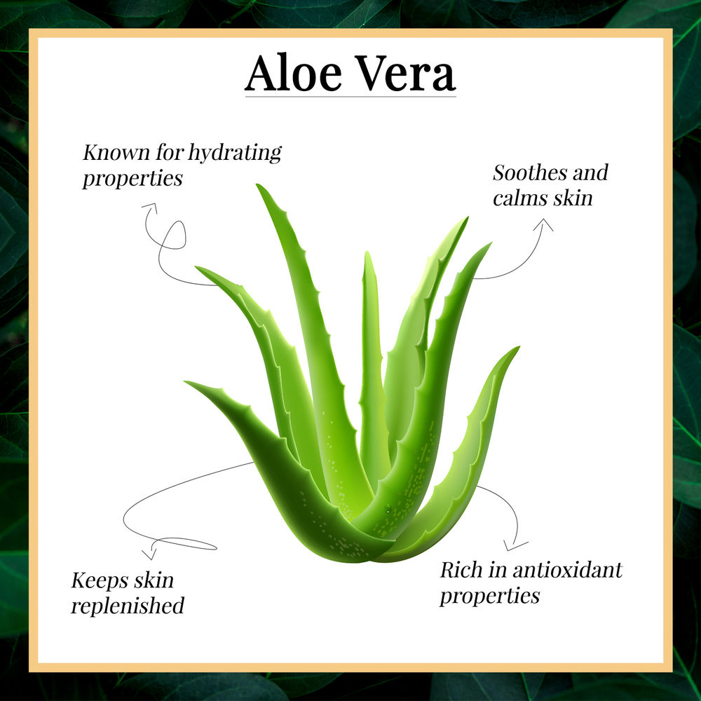 Good Vibes Soothing Body Lotion -Aloe Vera | Grocsy