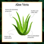 Good Vibes Soothing Body Lotion -Aloe Vera | Grocsy