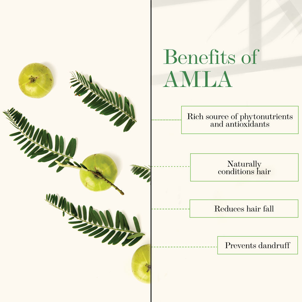 Good Vibes Amla Shikakai Strengthening Shampoo | Grocsy