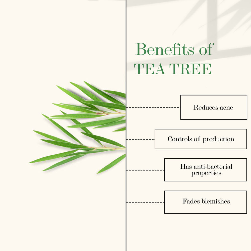 Good Vibes Tea Tree & Papaya Oil Control Face Serum | Grocsy