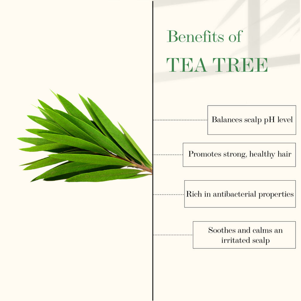 Good Vibes Tea Tree & Rosemary Anti Dandruff Hair Oil | Grocsy