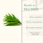 Good Vibes Tea Tree & Rosemary Anti Dandruff Hair Oil | Grocsy