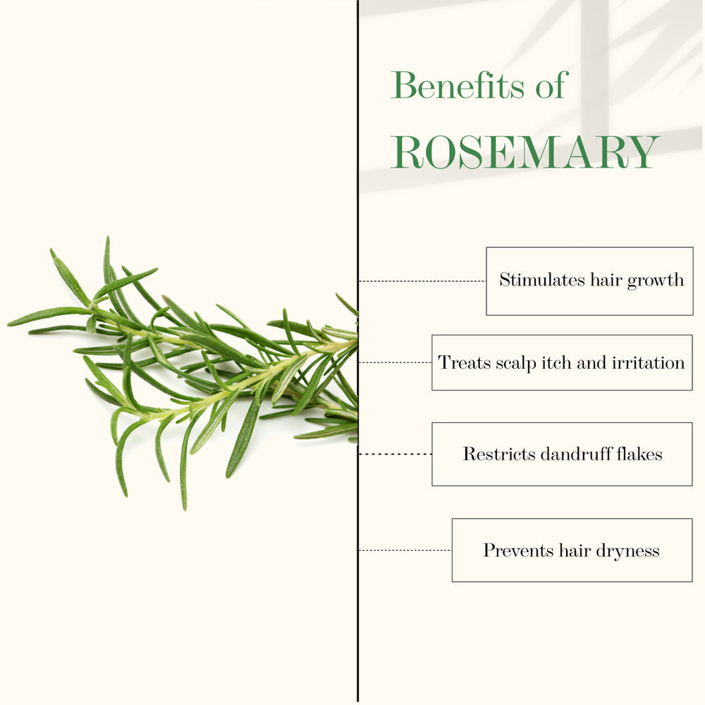 Good Vibes Tea Tree & Rosemary Anti Dandruff Hair Oil | Grocsy