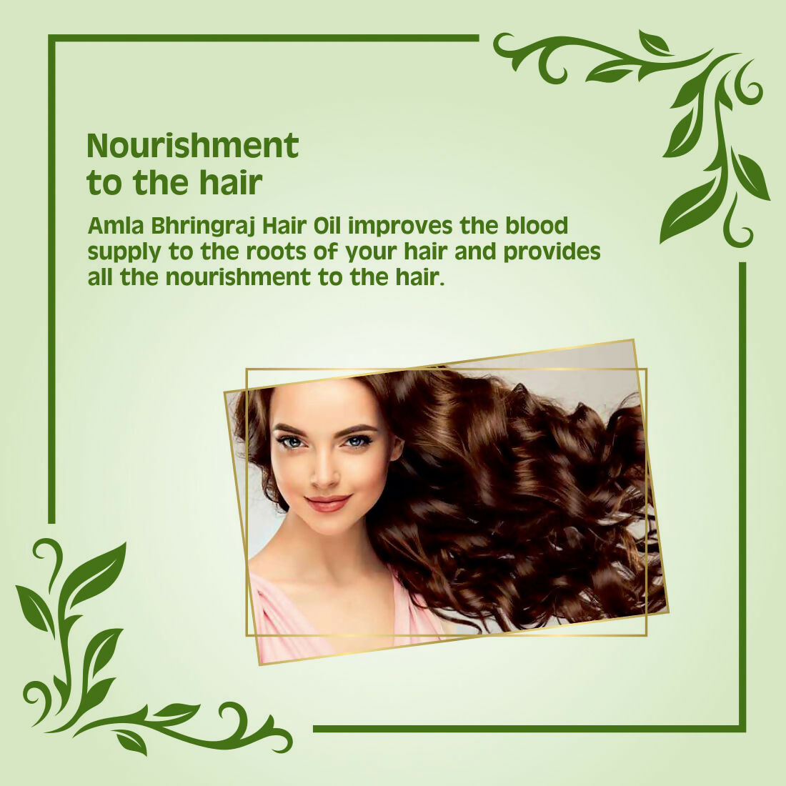 Earth Science Ayurveda Amla & Bhringraj Hair Oil | Grocsy