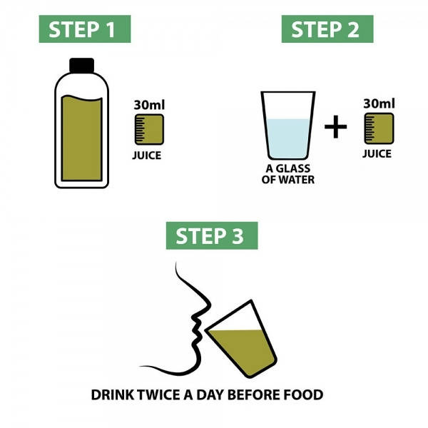 Vitro Naturals Healthy Aloe Vera Juice | Grocsy
