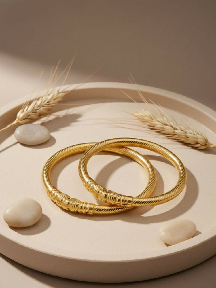 NVR Women Set of 2 Gold Plated Traditional Kada Bangle | Grocsy