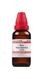 Dr. Willmar Schwabe India Rhus Toxicodendron Dilution | Grocsy