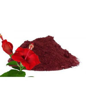 Hebsur Herbals Hibiscus Powder | Grocsy