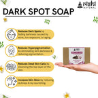 Rishi Natural Dark Spot Removal Soap | Grocsy
