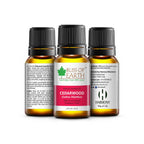 Bliss of Earth Premium Essential Oil Cedarwood | Grocsy