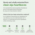 Dewytree Heartleaf 100 Korean Cream Eye Cream | Grocsy
