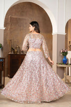 Eilara Light Peach Colour Designer Sequence Work On Net Lehenga Choli | Grocsy
