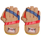 Virlok Foam Wicket keeping Gloves (Multi-Colour) | Grocsy