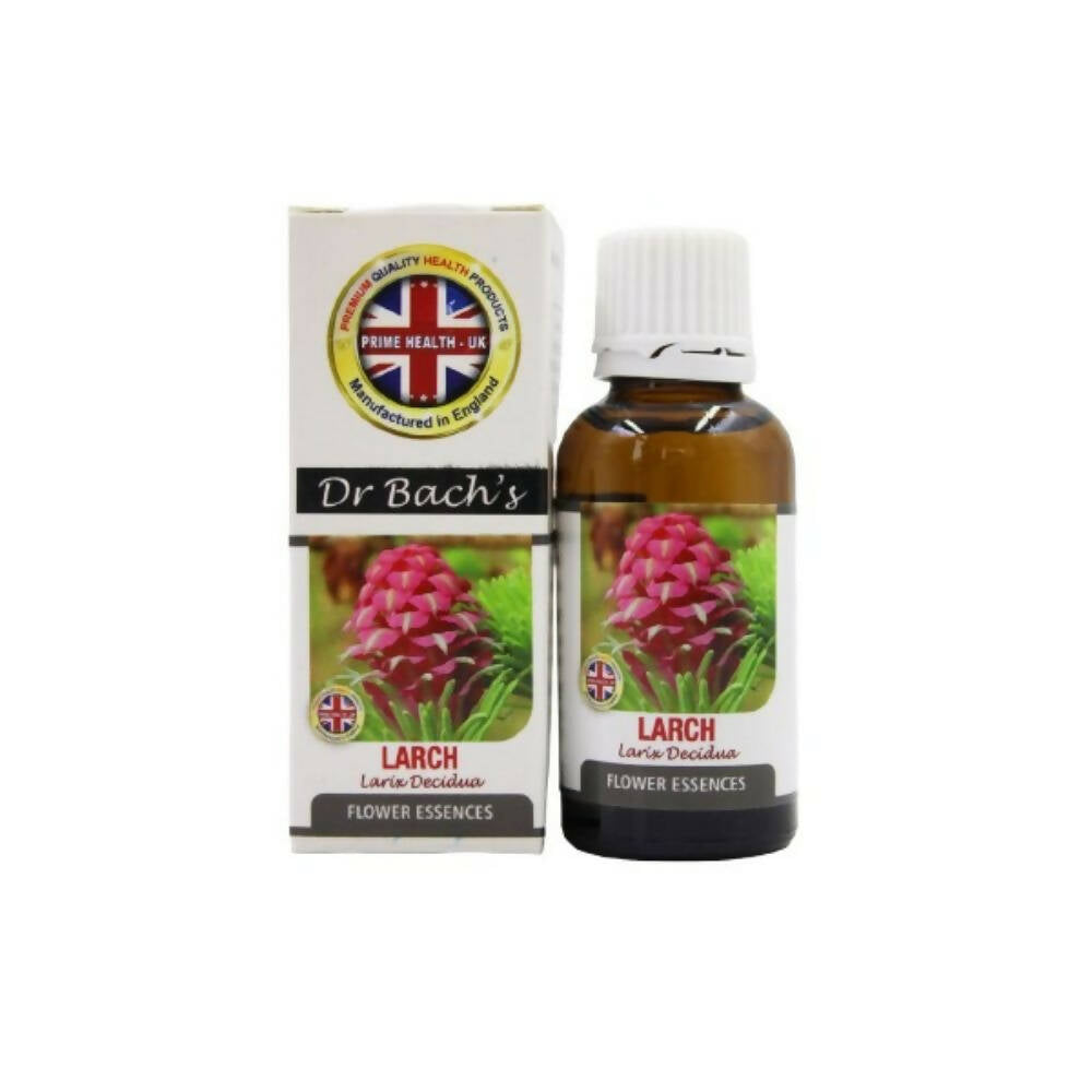 Dr. Bach's Larch (Pure Essence) Bach Flower | Grocsy