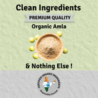 Jus Amazin Amla Powder Superfood | Grocsy