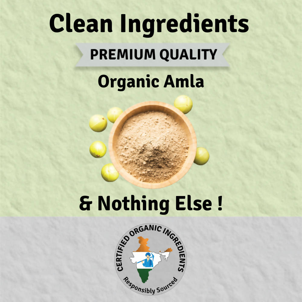 Jus Amazin Amla Powder Superfood | Grocsy