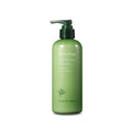 Innisfree Green Tea Pure Body Lotion | Grocsy