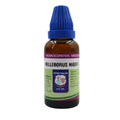 Father Muller Helleborus Niger Mother Tincture Q | Grocsy