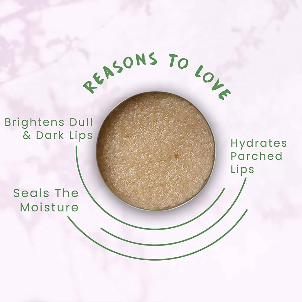 FOY Naturals Cinnamon Lip Scrub | Grocsy