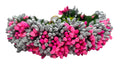 Pink & Silver Pollens Bridal Hair Gajra | Grocsy