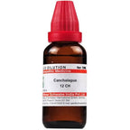 Dr. Willmar Schwabe India Canchalagua Dilution | Grocsy