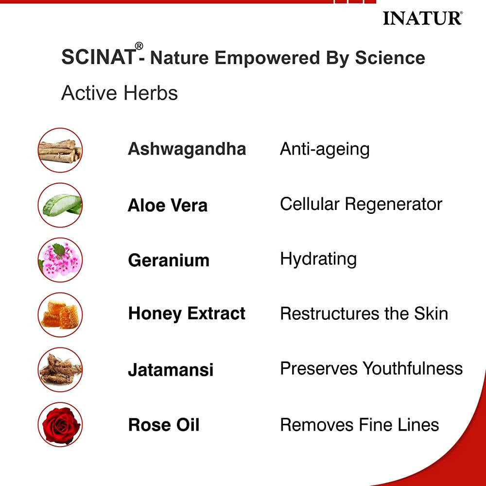 Inatur Silky Skin Face Wash | Grocsy