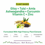 Bliss Welness Giloy Tulsi Amla Ashwagandha Curcumin Tablets | Grocsy