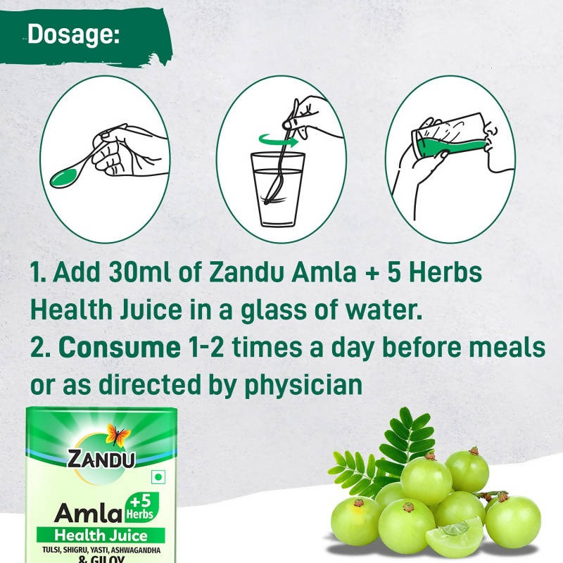 Zandu Amla + 5 Herbs Health Juice | Grocsy