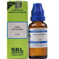 SBL Homeopathy Cimex Lectularius Dilution | Grocsy