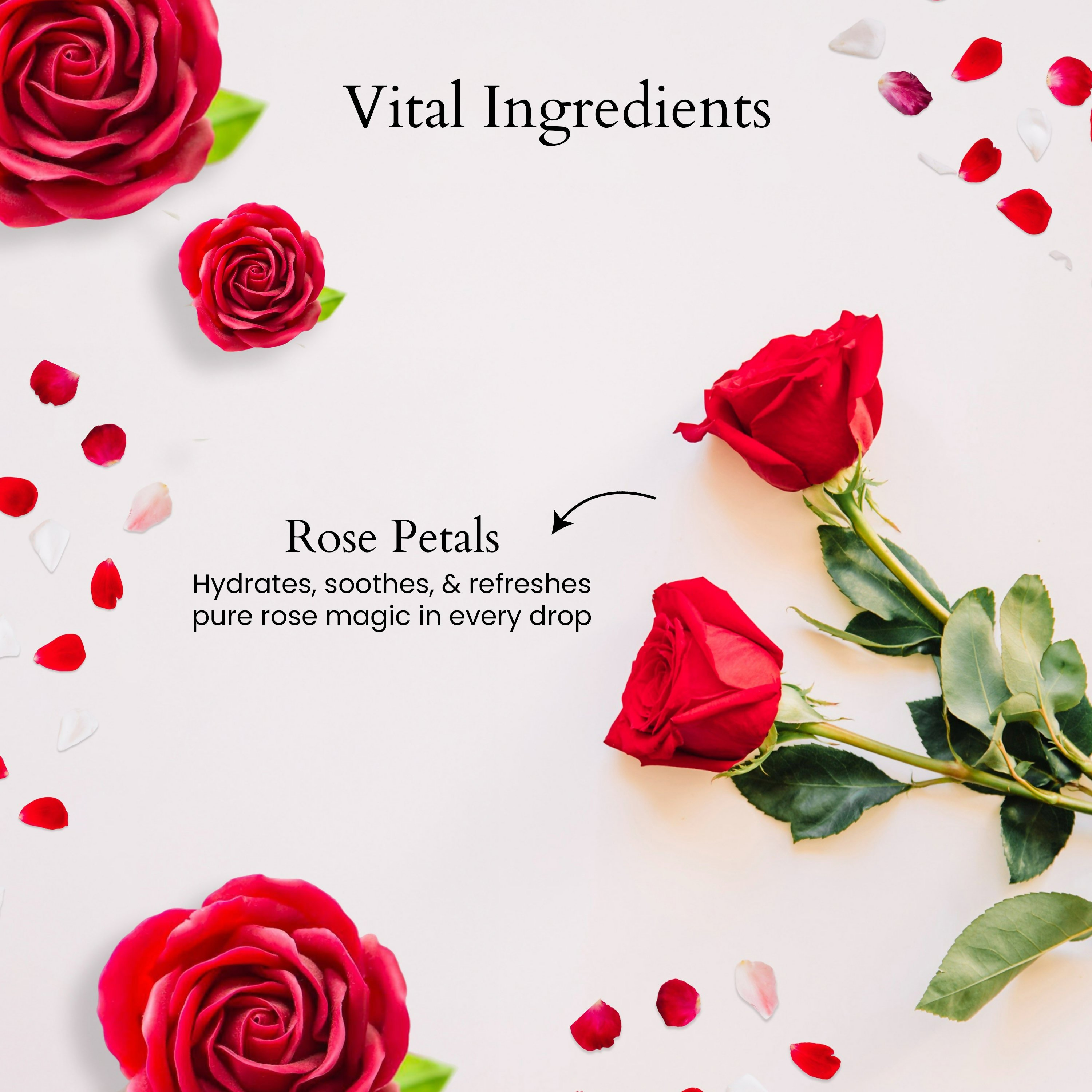 Panash Shuddh Rose Water | Grocsy