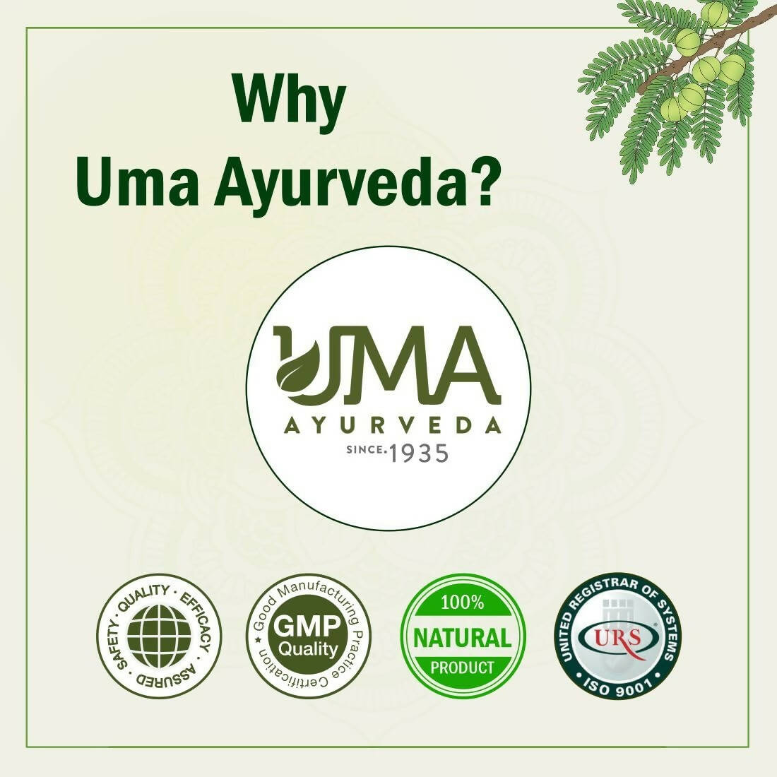 Uma Ayurveda Umadizest Gastric Medicine Ayurvedic Tablets | Grocsy
