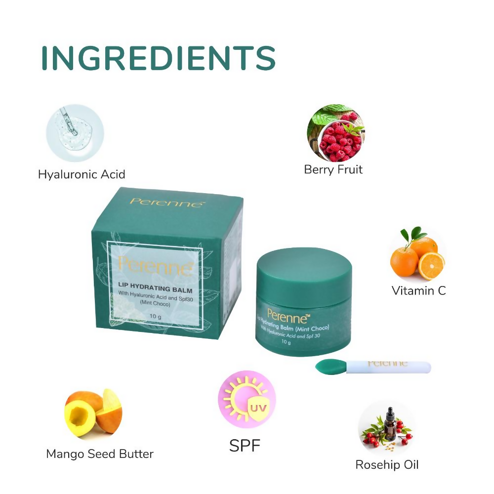 Perenne Lip Hydrating Balm With Hyaluronic Acid & SPF 30 - Mint Choco | Grocsy