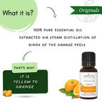 Mystiq Living Originals Sweet Orange Essential Oil | Grocsy