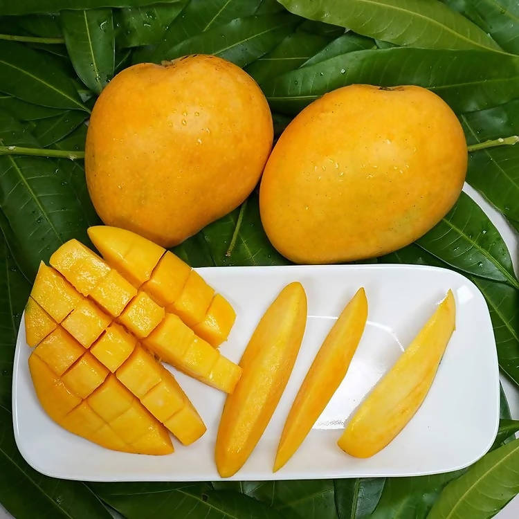 Banginapalli Mangoes / Benishan / Chappatai / Safeda / Badam Aam | Grocsy