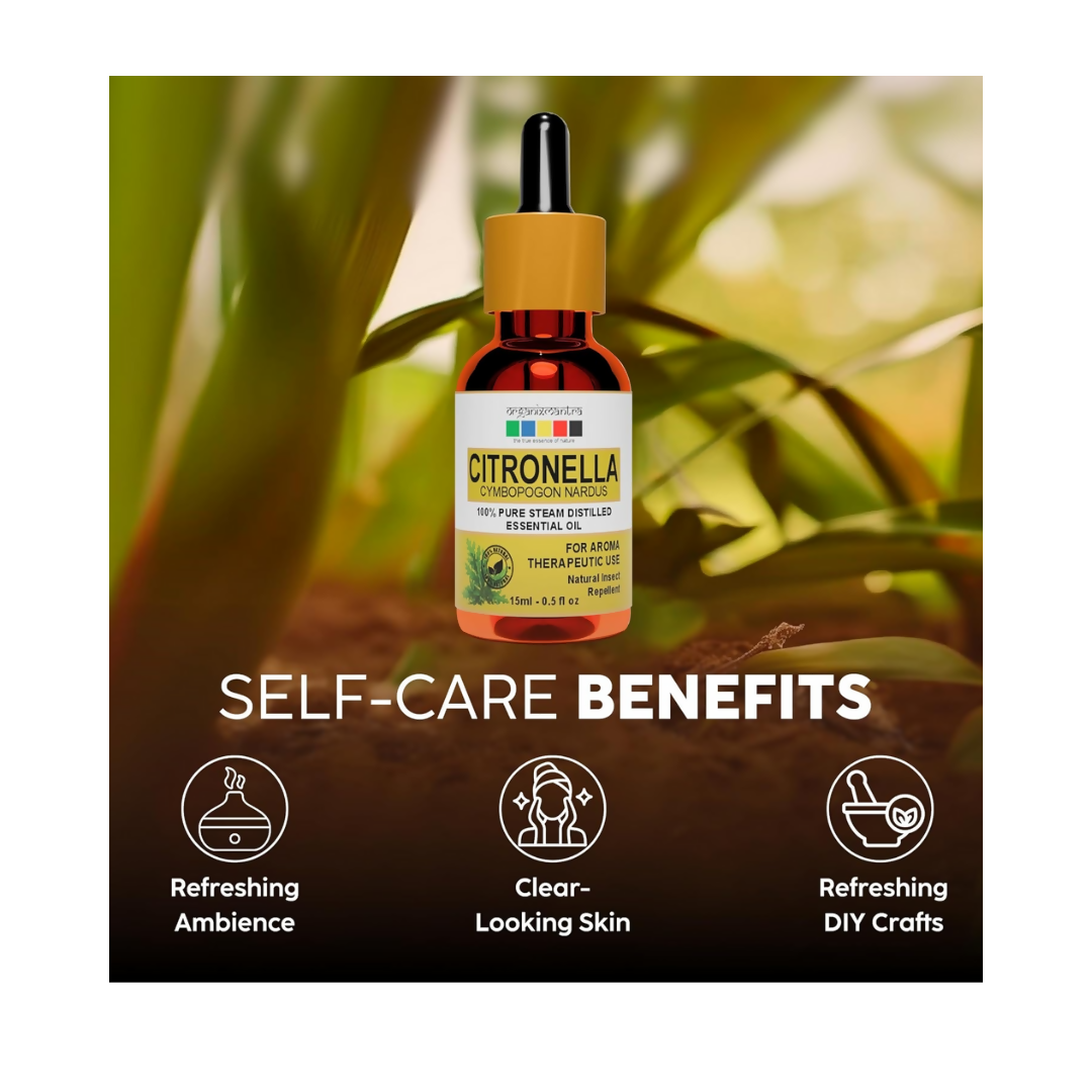 Organix Mantra Citronella Oil - 100% Natural Citronella Essential Oil | Grocsy