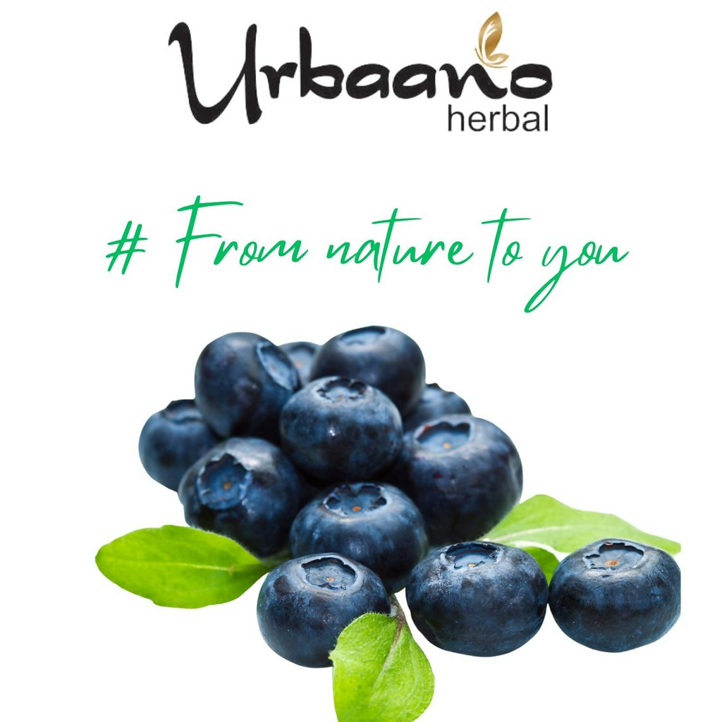 Urbaano Herbal Blue Berry Extract Water Soluble For DIY Skin Care & Hair Care Products | Grocsy