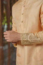 Tan Kanjivaram Hand Embroidered Pattu Set by Hilo Design | Grocsy