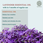 Buddha Natural Lavender Pure Essential Oil - For Healthy Hair, Skin, Sleep | Grocsy