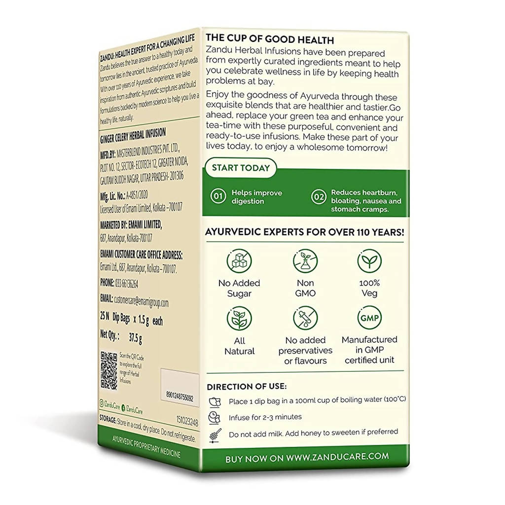 Zandu Ginger Celery Herbal Infusion Tea | Grocsy