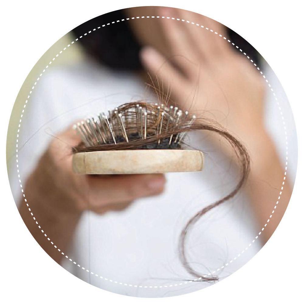 Vegetal Hair Well For Hair Fall Control | Grocsy