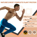 Wellbeing Nutrition Superfood Plant Protein-Dark Chocolate Hazelnut | Grocsy