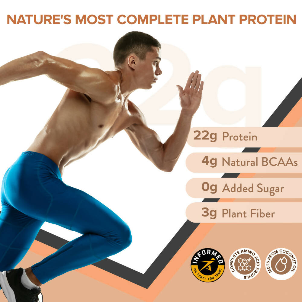 Wellbeing Nutrition Superfood Plant Protein-Dark Chocolate Hazelnut | Grocsy