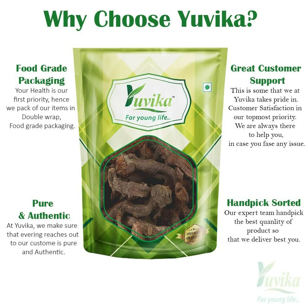 Yuvika Bispais - Bisfais - Polypodium Vulgare - Wall Fern | Grocsy