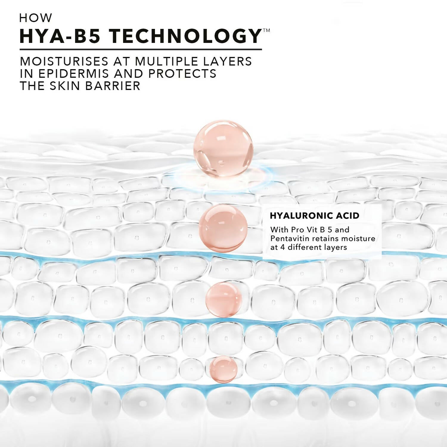 Novology Hyaluronic Acid Skin Barrier Protect Serum | Grocsy