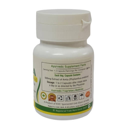 Deep Ayurveda Amla 500mg Veg Capsules | Grocsy