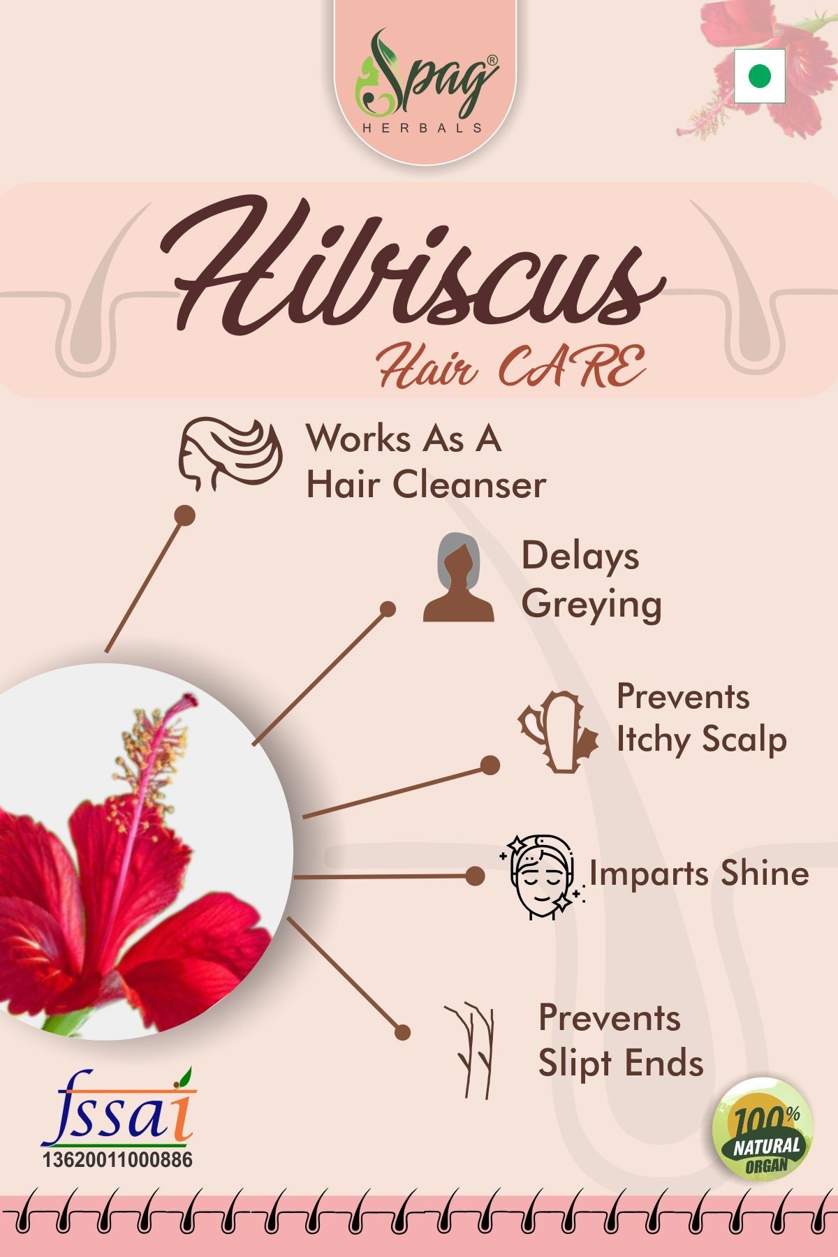 Spag Herbals Premium Hibiscus Powder | Grocsy