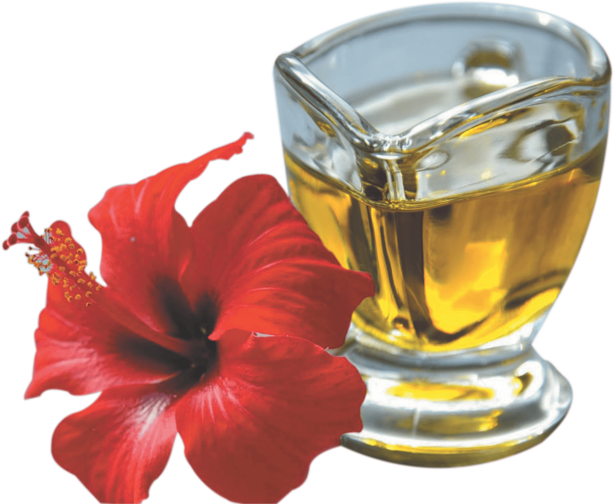 Spag Herbals Hibiscus Herbal Hair Oil | Grocsy