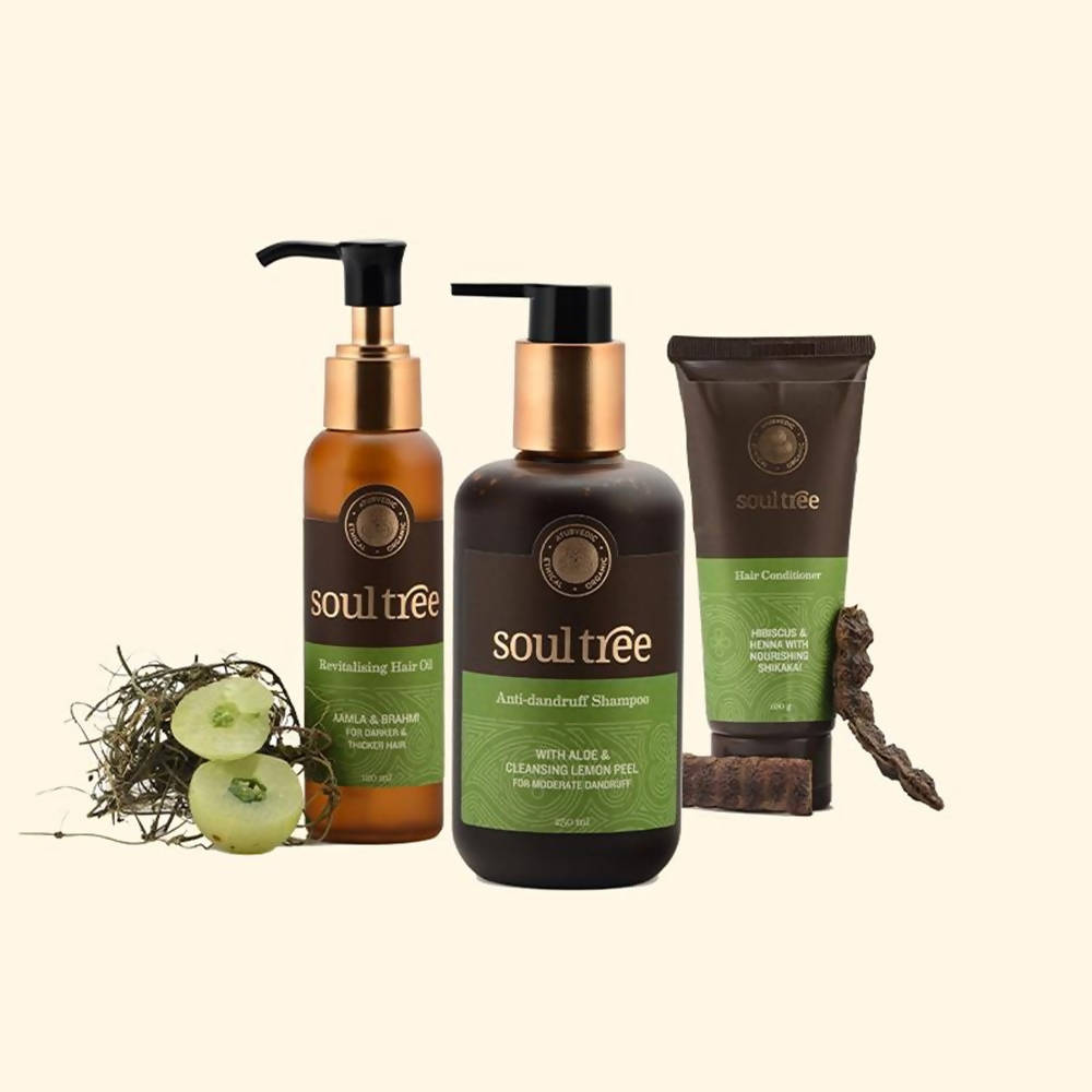 Soultree 3 Step Dandruff - Free Hair Regimen | Grocsy