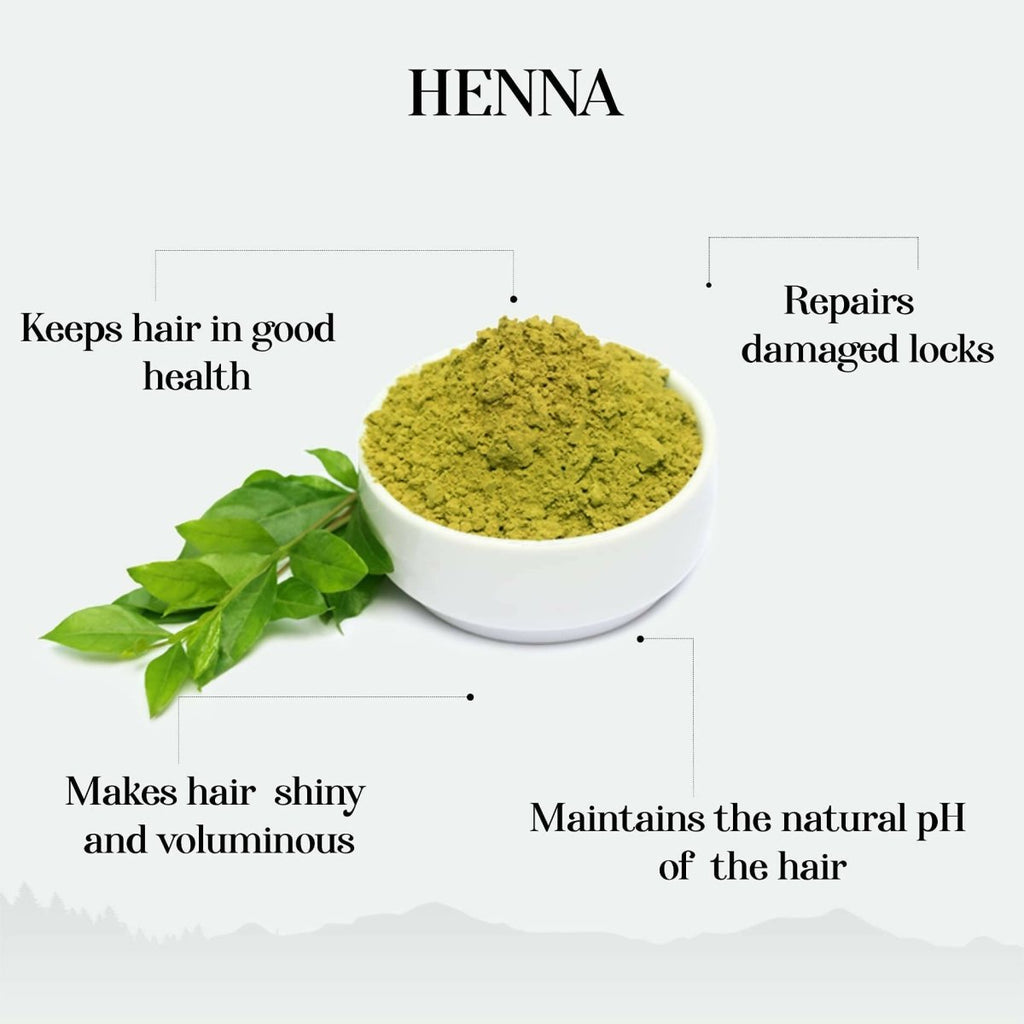 Alps Goodness Henna Based Hair Color Powder | Grocsy