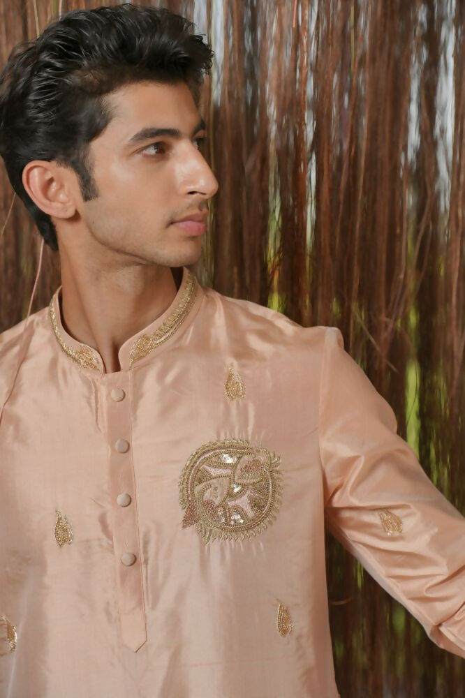 Dusky Pink Kanjivaram Machien Embroidered Pattu Set by Hilo Design | Grocsy